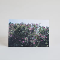 Travel Postcard