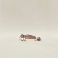 Sea Lion resting by Ostheimer