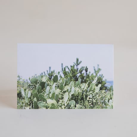 Travel Postcard