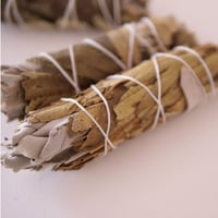 Coastal Serenity Smudge Bundle