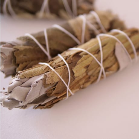 Coastal Serenity Smudge Bundle