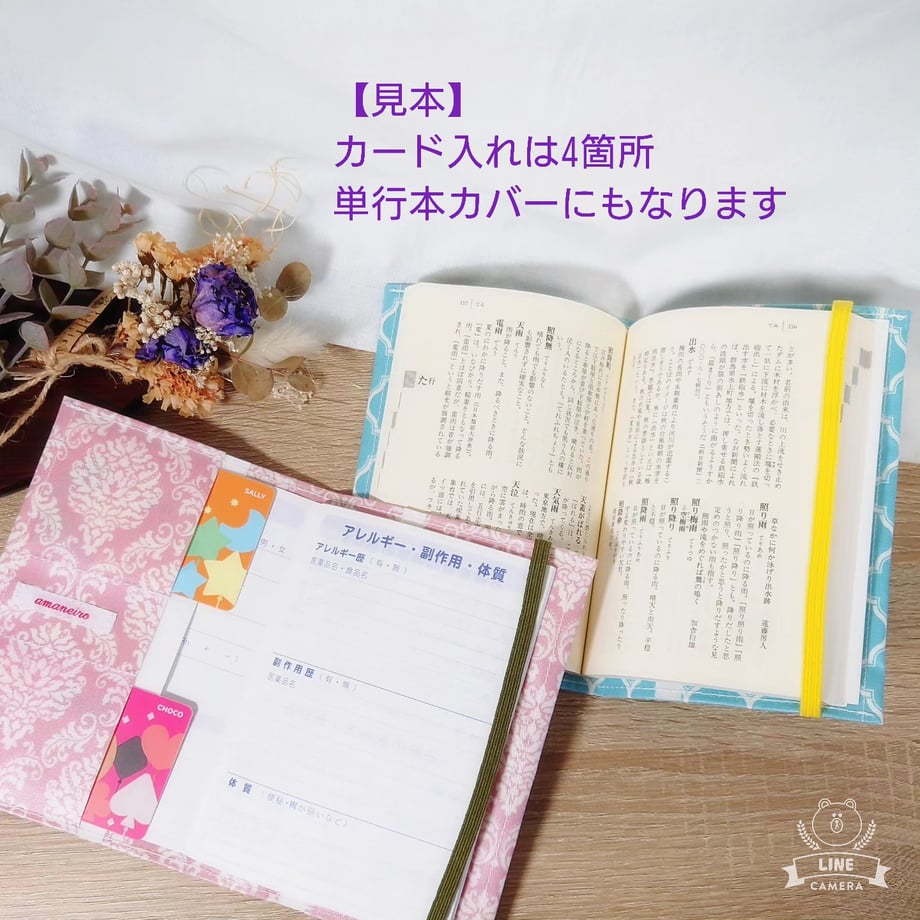 668a45b809d630002be6b8e3