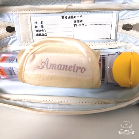 【送料無料】ひょっこりエピペンポーチ１本両開きタイプ　くすみブルー•ギンガムチェック柄ラミネート生地【No.20250504】