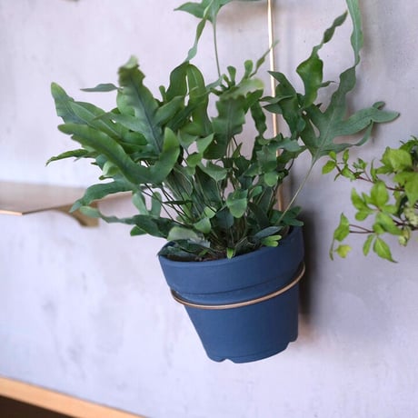千葉工作所 "Plant Hanger(S/M)"