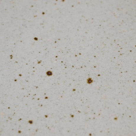 ONE KILN CERAMICS（ワンキルンセラミックス）"CULTIVATE / Flat Plate RF-CLEAR（M）"