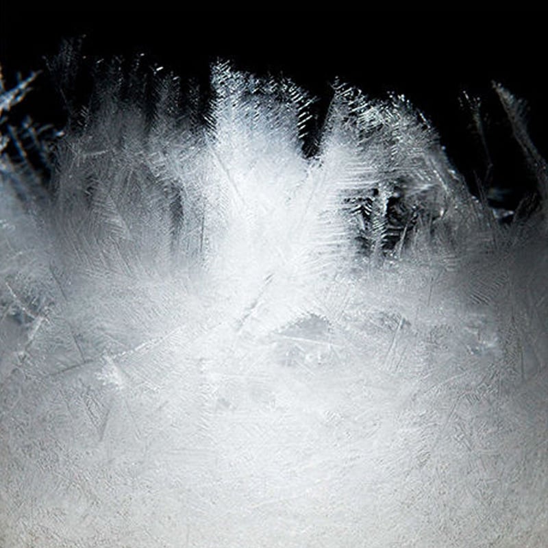 TEMPO DROP L / テンポ ドロップ L | soup.