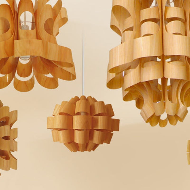 取り寄せ】照明作家 谷 俊幸 