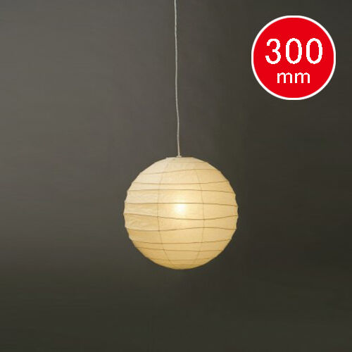 おひとり様2点まで】AKARI