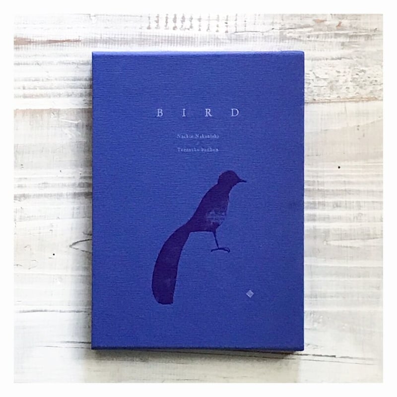 トラネコボンボン・中西なちお 作品集「BIRD」 | p o e