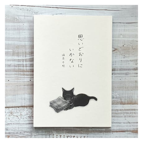 坂本千明 | STORES