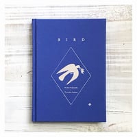 安達茉莉子『私の生活改善運動 』vol.2「本棚をつくる」 | p o e