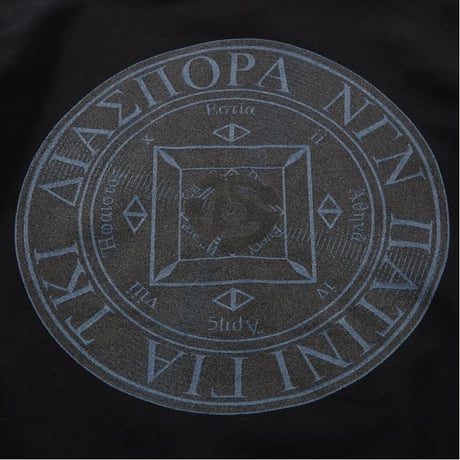 Diaspora skateboards / Jazzy Sport Disc Hooded Sweatshirt (Black)