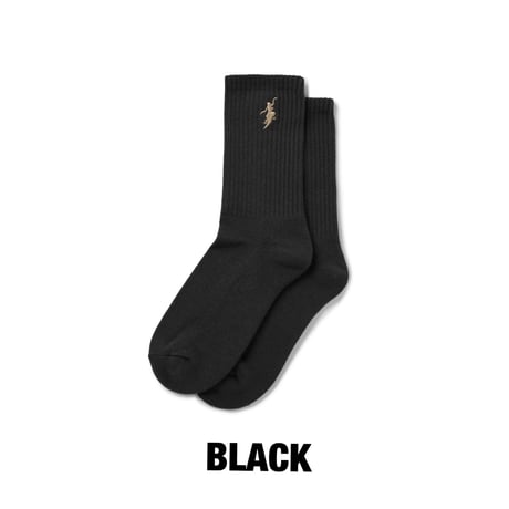 POLAR SKATE CO. / RIB SOCKS - NO COMPLYS - (2COLOR)