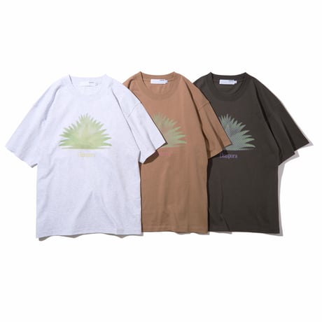 Diaspora skateboards / Pasadena Tee (Latte)