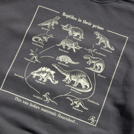 BE-SHARE |Reptiles in their prime Crewneck Sweat(BLACK)