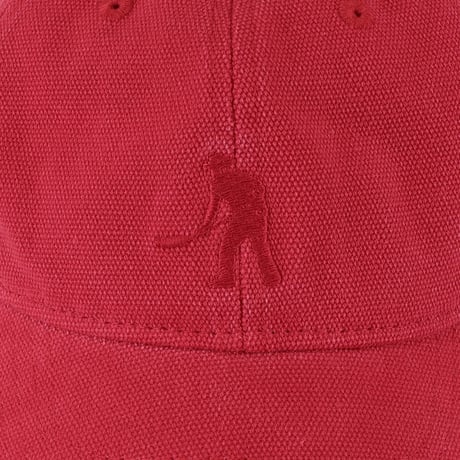 PASS~PORT | SOLID LEAGUES CAP "2COLOR"