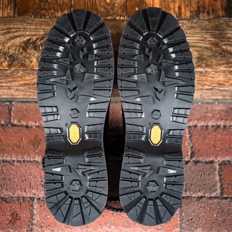 DANNER / DANNER FIELD LOW R (BLACK)