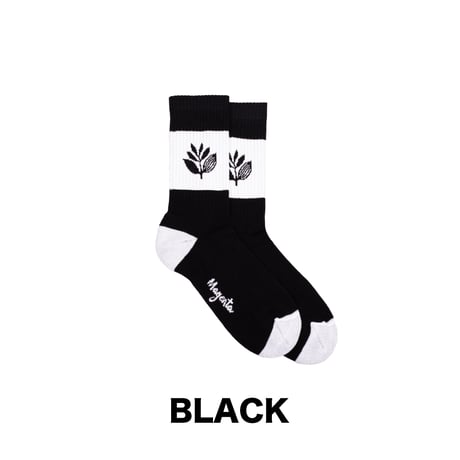 MAGENTA / STRIPE SOCKS (3 COLORS)