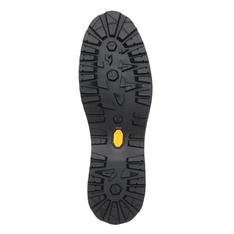 DANNER / DANNER FIELD LOW R (BLACK)