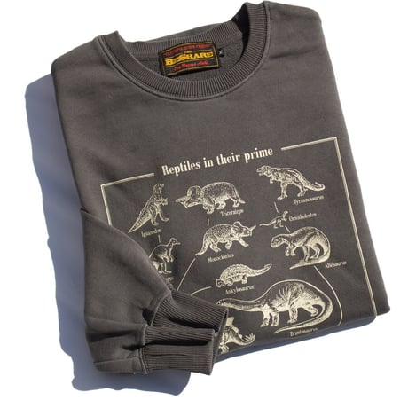 BE-SHARE |Reptiles in their prime Crewneck Sweat(BLACK)