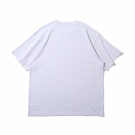 Diaspora skateboards / Round Logo Tee (Steam)