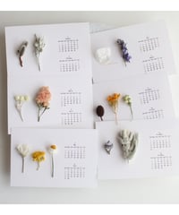 2027年　花と木の実のカレンダー　横型　穴なし