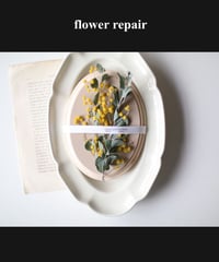 花標本　ミモザ　flower repair　お直し