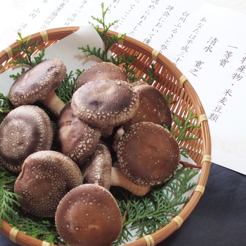 秋冬限定】【農業祭連続入賞品種】茸採り物語【受注生産】 | 清水