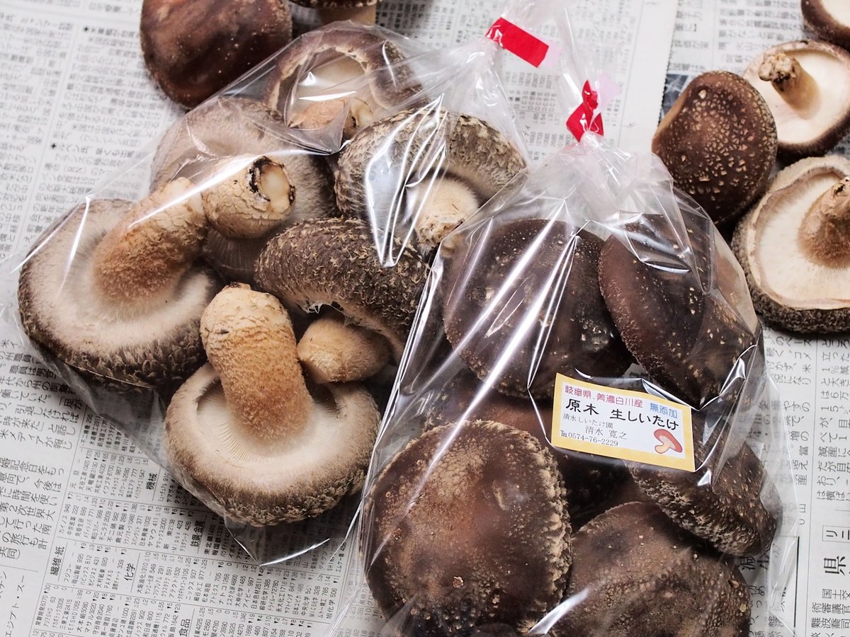 秋冬限定】【農業祭連続入賞品種】茸採り物語【受注生産】 | 清水