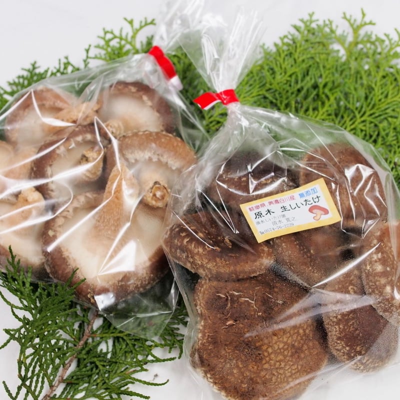 お試しセット】生しいたけ四種セット 2L・徳用LM・LM・2Sサイズ