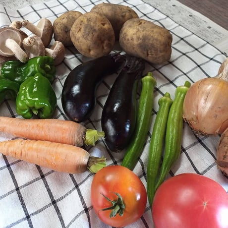 【夏限定！】しいたけ屋さんの夏カレー野菜セット！！　クール便