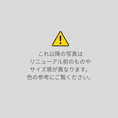 Noble Dry [L] - 空間を彩る、贅沢なドライフラワー