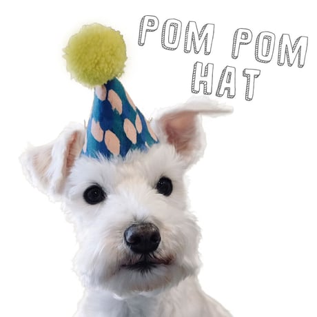 POM POM HAT