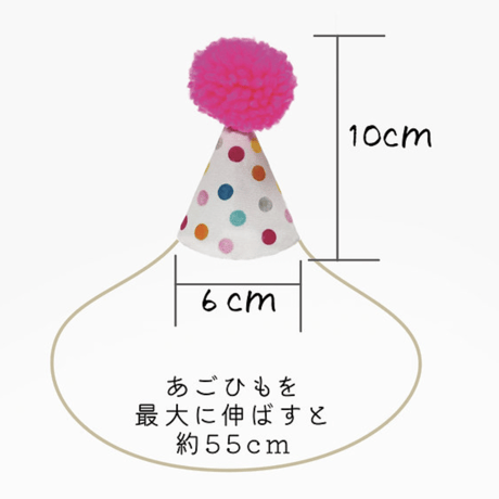 POM POM HAT