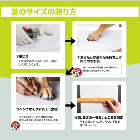 WANDAL (犬用アウトドアシューズ）