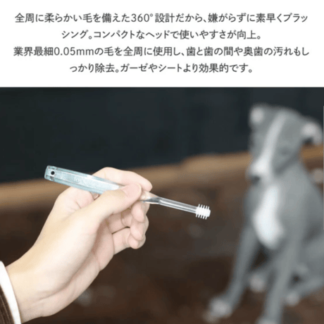 【ペット用】360度どこからでも磨ける歯ブラシ