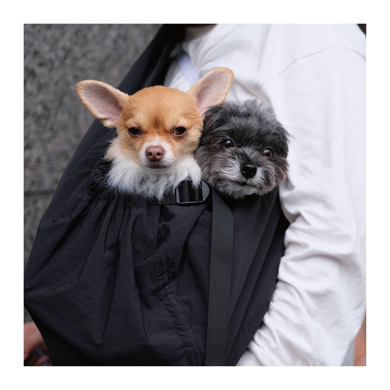 MANDARINE BROTHERS】MB スリング | SQL.