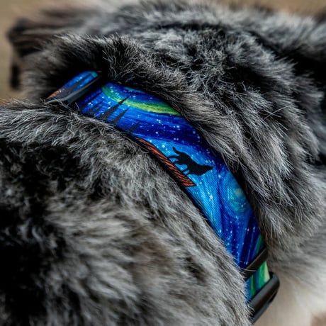 【WOLFGANG】Starry Wolf