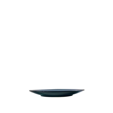 BLACK AND BLUE TABLE WARE - 160 PLATE -