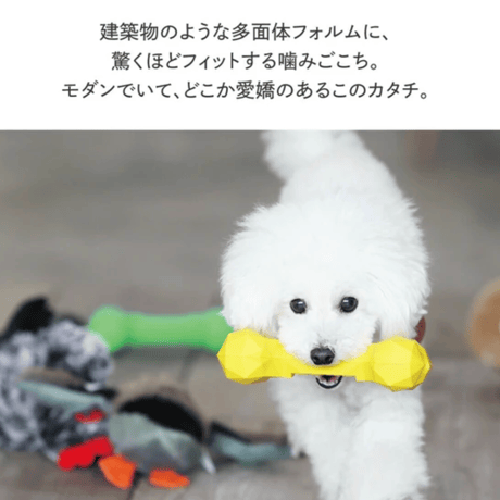BONE BONE BONE（ドッグトイ）