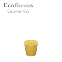 【ecoforms】GROWER6