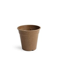 【ecoforms】GROWER12