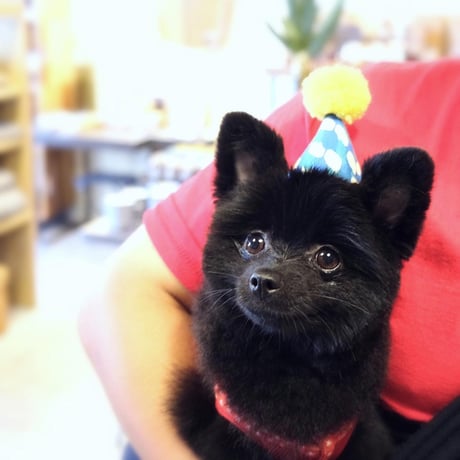 POM POM HAT