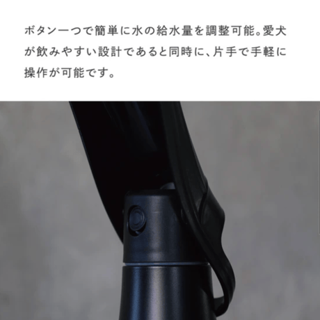 SLEEK BOTTLE