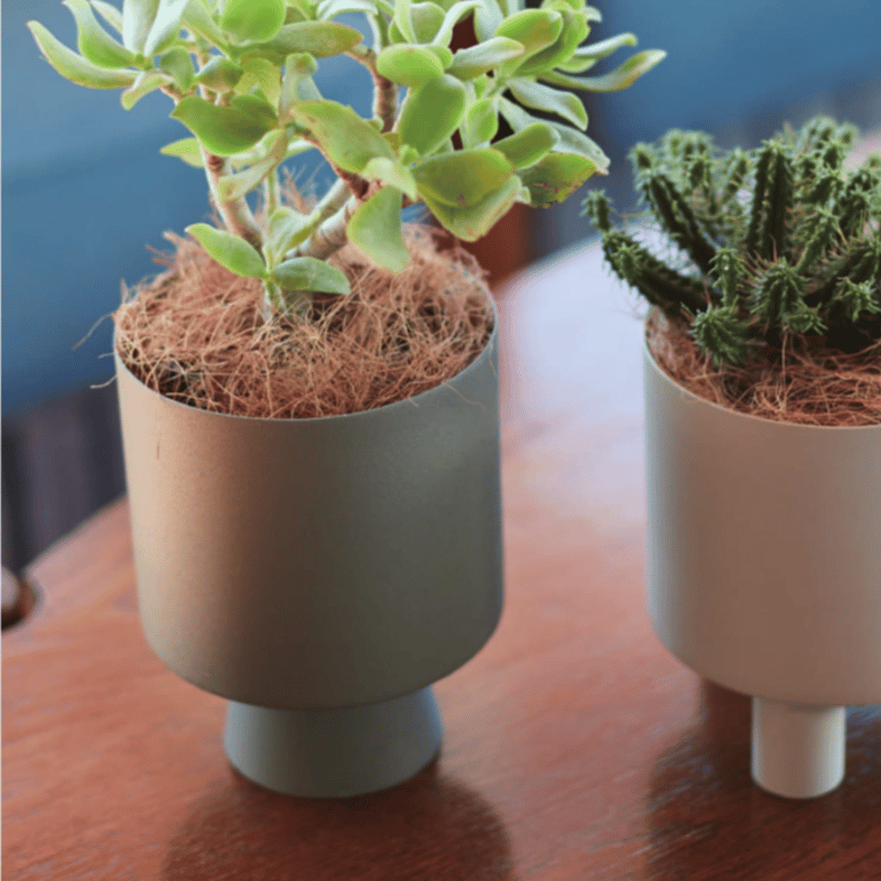 鉢カバー】リンネア | SQL.