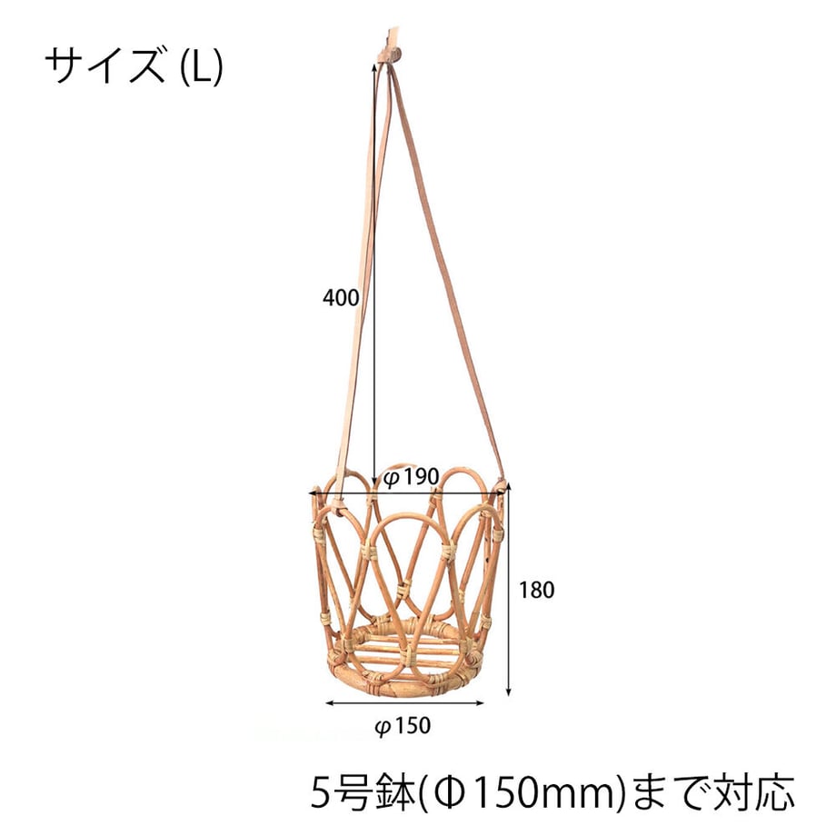 64ccaae659c112002c9a2583