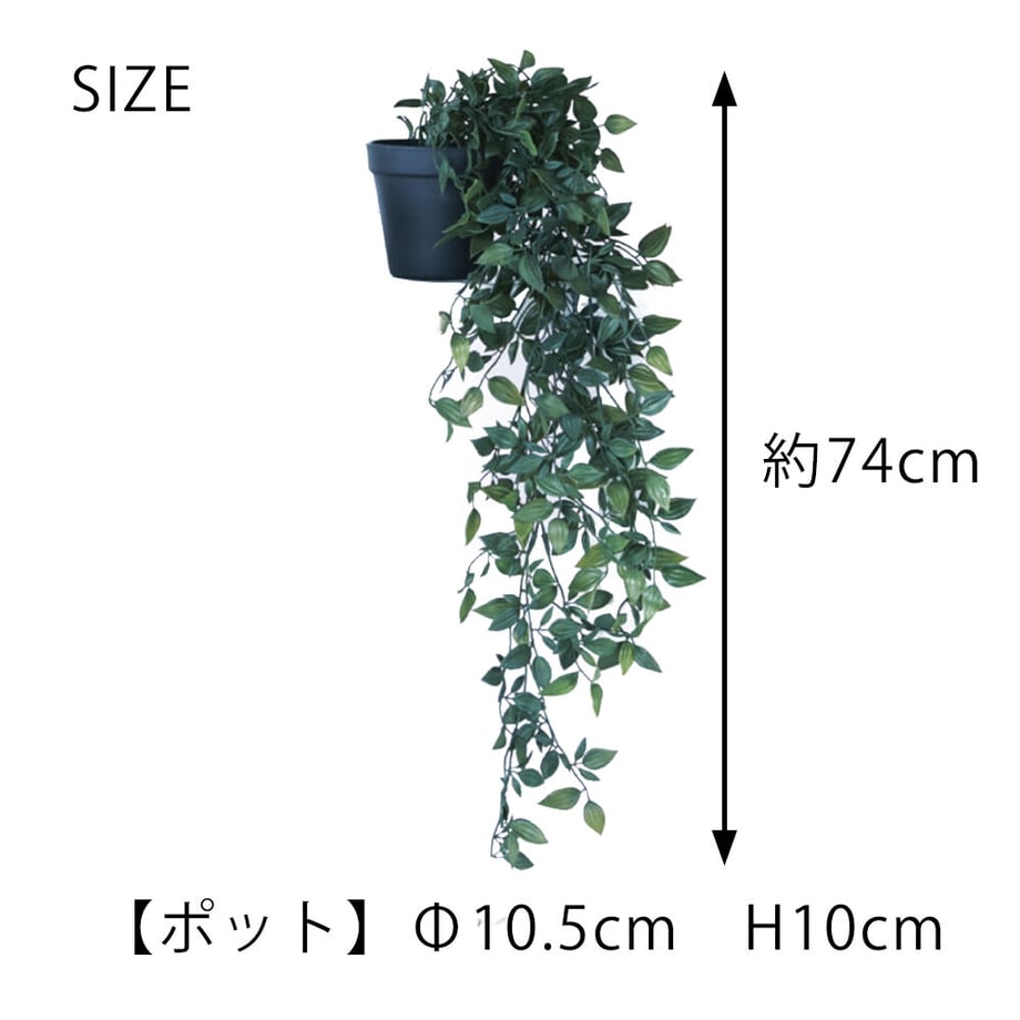 64d5e2196d819c002e044fc3