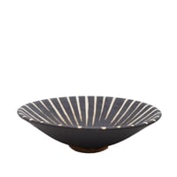 Sabitokusa 反6.5鉢