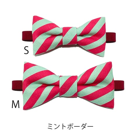 THE RIBON