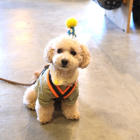 POM POM HAT